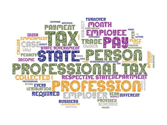 Virtual Tax Professional Information Session